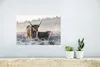 MuchoWow® Poster Schottisches Hochlandrind - Kalb - Tiere Produktbild-Vorschau 5