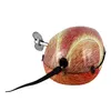 A wind-up tin toy mouse with a long tail and a wind-up key on a white background. Produktbild-Vorschau