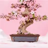 RoboTime 3D Holzpuzzle Bonsai sakura Produktbild-Vorschau 4