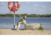 TRIXIE Schwimmweste für Hunde mit Reflektorstreifen und Produktbild-Vorschau 8