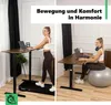 A split image showing a woman using a standing desk in two different ways: walking on a treadmill under the desk and sitting on an exercise ball at the desk. Produktbild-Vorschau