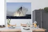 MuchoWow® Poster Wal - Wasser - Südafrika 180x120 cm - Produktbild-Vorschau 3