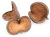 Badam Schote Natur 8–12 cm Sterculia foetida Herzfrucht Produktbild-Vorschau 2