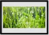 Bild 100x70 MDF-Rahmen Wandkunst Gras Natur Pflanze Produktbild-Vorschau 1