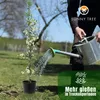 A person watering a potted plant in a garden. Náhled obrázku produktu