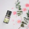 Duftöl 10ml Grosse Auswahl II  Duftlampe Duftstein Aromaöl Produktbild-Vorschau 7