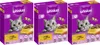 WHISKAS® Karton Trocken 1+ mit Huhn 3 x 800g Produktbild-Vorschau 1