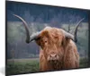 MuchoWow® Gerahmtes Poster Schottischer Highlander - Produktbild-Vorschau 1