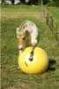 Maximus Power Play Ball gelb, Durchmesser: 65 cm Produktbild-Vorschau 9