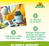 Neudorff Azet Kakteen und SukkulentenDünger - 250 ml Produktbild-Vorschau 5