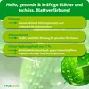 Purgrün -Vinasse-Dünger 1 Liter, Produktbild-Vorschau 3
