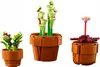 10329 – LEGO The Botanical Collection – Kleine Pflanzen Produktbild-Vorschau 5