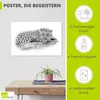 ARTland Poster Leopard High Key Optik Größe: 30x20 cm Produktbild-Vorschau 2
