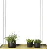 Esschert Design Pflanzentablett Rechteckig Golden L Produktbild-Vorschau 3