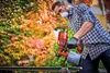 A person painting outdoors with a paint sprayer in front of autumn foliage. Produktbild-Vorschau