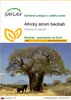 SAFLAX - Africký strom baobab - Adansonia digitata - 6 Náhľad obrázku produktu 1