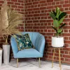 Gummibaum - pflegeleichte Zimmerpflanze, Ficus elastica Produktbild-Vorschau 3