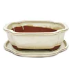 Ciotola bonsai con piattino Gr. 4 - beige chiaro - lungo / Anteprima dell’immagine prodotto 1