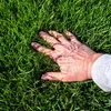 Premium Rasenkalk & Gartenkalk Kalk Düngekalk gegen Moos Produktbild-Vorschau 3