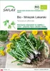 SAFLAX - Bio - Mniszek Lekarski - 400 Nasiona - Taraxacum Podgląd zdjęcia produktu 1