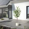 ML-Design umelý olivovník 180 cm, umelá rastlina s kmeňom z Náhľad obrázku produktu 9