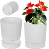 A white planter with a red anthurium plant and a separate white planter shown. Produktbild-Vorschau