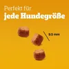 Pedigree Leckerbissen Junior – Kleine Hundesnacks für Produktbild-Vorschau 7
