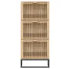 vidaXL Szafka na buty 52x25x120 cm materiał drewnopochodny Podgląd zdjęcia produktu 4