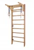 A wooden indoor climbing frame with gymnastic rings attached. Produktbild-Vorschau