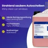 Mr. Perfect® Insektenentferner 10L - Insektenlöser Produktbild-Vorschau 2