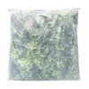 GeckoWall "KAIRO" | Premium Dschungel Farn Pflanzenwand | Produktbild-Vorschau 6