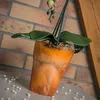Blumentopf rund Orchideentopf Orchidee D 130 mm H 165 mm Produktbild-Vorschau 5