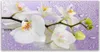 Tulup Leinwand-Bilder 120x60 Wandbild Canvas Kunstdruck Produktbild-Vorschau 1