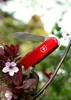 VICTORINOX Spartan Schweizer Taschenmesser Voir les images du produit 5