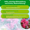 Purgrün Oleander Dünger | Flüssigdünger mit extra Kalium & Produktbild-Vorschau 3
