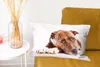 MuchoWow® Zierkissen Sofakissen Wohnzimmer Dekokissen 50x30 Produktbild-Vorschau 6