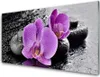 Acrylglasbilder 100x50 Wandbild Druck Blumen Steine Produktbild-Vorschau 1