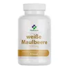 Weißer Maulbeerextrakt 500 mg 60 Kapseln Zuckerstoffwechsel Produktbild-Vorschau 1