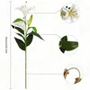 Olrla 60cm lang Künstliche Lilien 4 Stiele, Gesamt 8 Produktbild-Vorschau 2