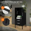 ML-Design Vitrinenschrank Schwarz, Vitrine mit 2 Produktbild-Vorschau 4