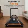 WalkingPad X23/MX16 Klappbares Laufband bis 16 km/h & 136 Produktbild-Vorschau 3