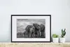MuchoWow® MuchoWow® Gerahmtes Poster Elefant - Tiere - Produktbild-Vorschau 4