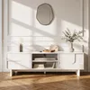 Meuble TV "Katanshumn" avec 2 portes et 2 étagères Voir les images du produit 7
