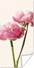 MuchoWow® Poster Blumen - Blüte - Rosa 60x120 cm - Produktbild-Vorschau 1