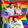 2 Stück LGBTQ Flagge - 90 x 150 cm Regenbogen Flagge mit Produktbild-Vorschau 2