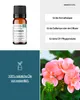 Geranium (10ml) - naturreines, ätherisches Öl von Produktbild-Vorschau 2