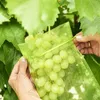 100 kusů ochranných sáčků na sultánky o rozměrech 20 x 30 Náhled obrázku produktu 5