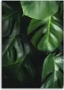 Leinwandbild monstera-blätter 70x100 cm Feeby grün wandbild Produktbild-Vorschau 3