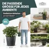 XXL Pflanzkübel „Millennium“ Ø59xH49 cm - 80L - Anthrazit - Produktbild-Vorschau 5