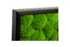 Moosbild 110x55cm 50% Flachmoos/ 50%Kugelmoos (schwarz) Produktbild-Vorschau 3